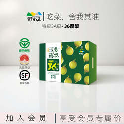 野里垣梨隰县玉露香梨山西临汾隰县梨特产新鲜水果梨子北纬36度梨