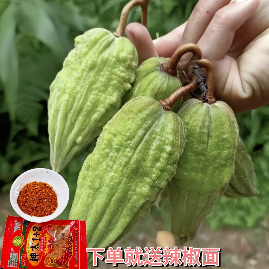 云南西双版纳普洱特产野生新鲜酸扁果酸爽的味道送干粘