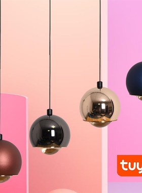 Tuya涂鸦智能吊线灯升降可调节卧室床头吊灯简约圆球吊绳灯吧台