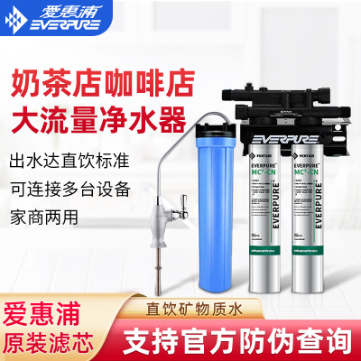 爱惠浦MC2双联净水器商用大流量直饮水机奶茶咖啡店专用过滤器