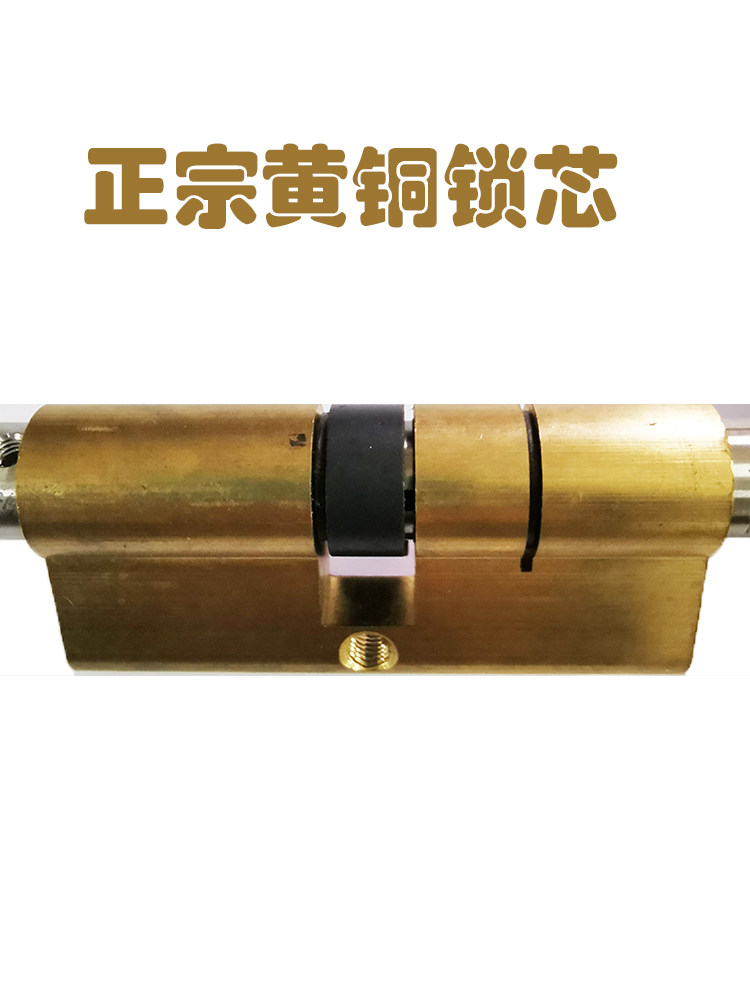 普通门锁改装智能指纹锁芯密码锁防盗门铝合金门不锈钢门木门通用图片