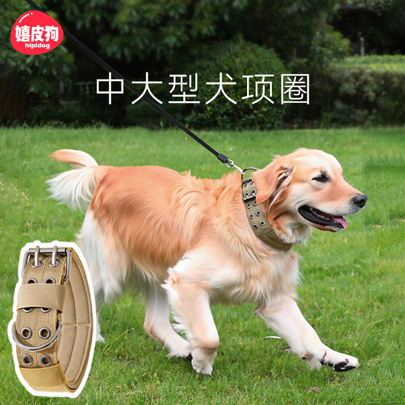 包邮狗脖圈中大型犬狗狗项圈狗圈颈圈猛犬金毛拉布拉多宠物脖套