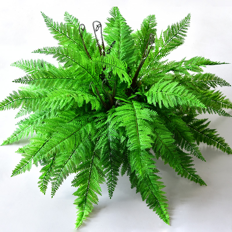 极速仿真蕨d类植物蕨草肾蕨水草盆栽假花塑料干燥花绿植造景墙面