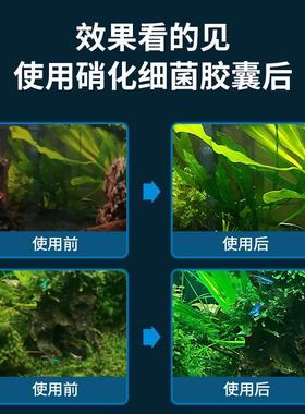 极速Fish ctank auarqium orXGxY-100namental fis nitrihfying b