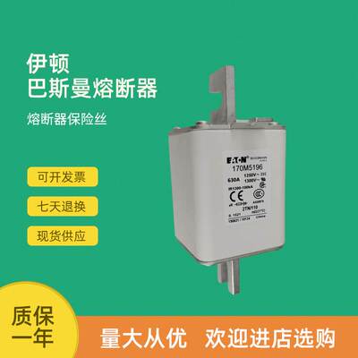 极速全新快速熔断器保险170M5163 17z0M5164 170M5165 170M5166议