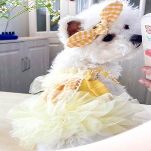极速宠物狗狗g衣服夏季裙子公主小型犬泰迪小狗背心薄款春夏天网
