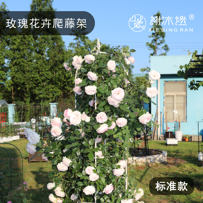 极速花架爬藤架玫瑰铁线莲支架牵引花铁艺月季室外阳台Y攀爬植物
