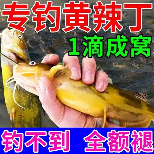 极速专钓黄颡鱼神器野钓黑坑池塘黄辣丁专用钓鱼鱼X饵添加剂诱饵