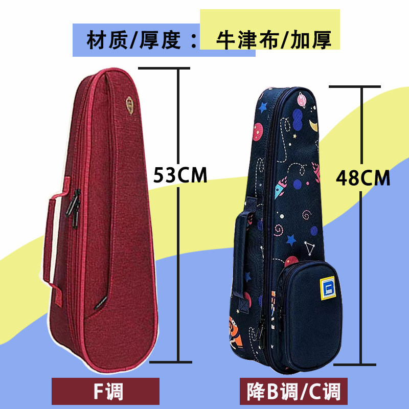 葫芦丝包背包儿童收纳包盒子单支装可放降b调c调单肩背手提袋子