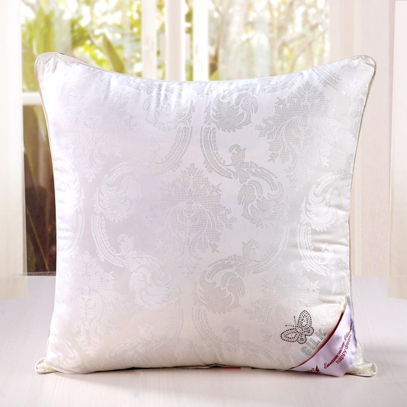 全棉优质蚕丝靠枕办公室沙发靠垫抱枕含芯绣花枕套正方形45/60