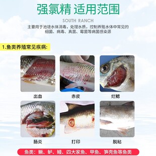 强氯精粉鱼塘消毒片虾蟹水产养殖用三氯异氰尿酸杀菌灭藻除臭水库