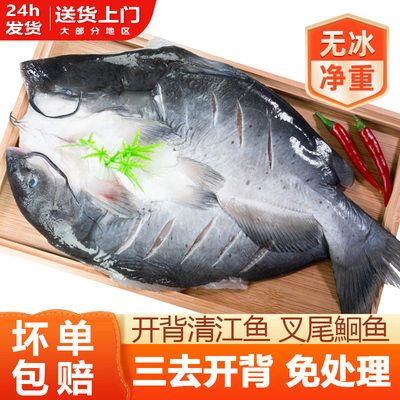 清江鱼三去开背净重500g-1300g