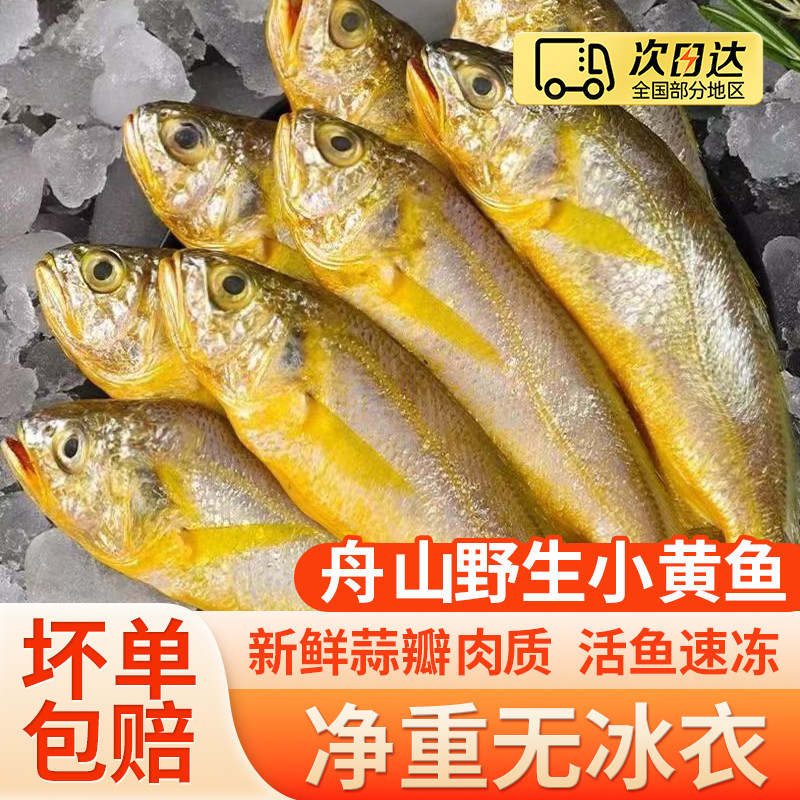 舟山野生小黄鱼小黄花鱼新鲜冷冻海捕鲜活海鲜水产非大黄鱼