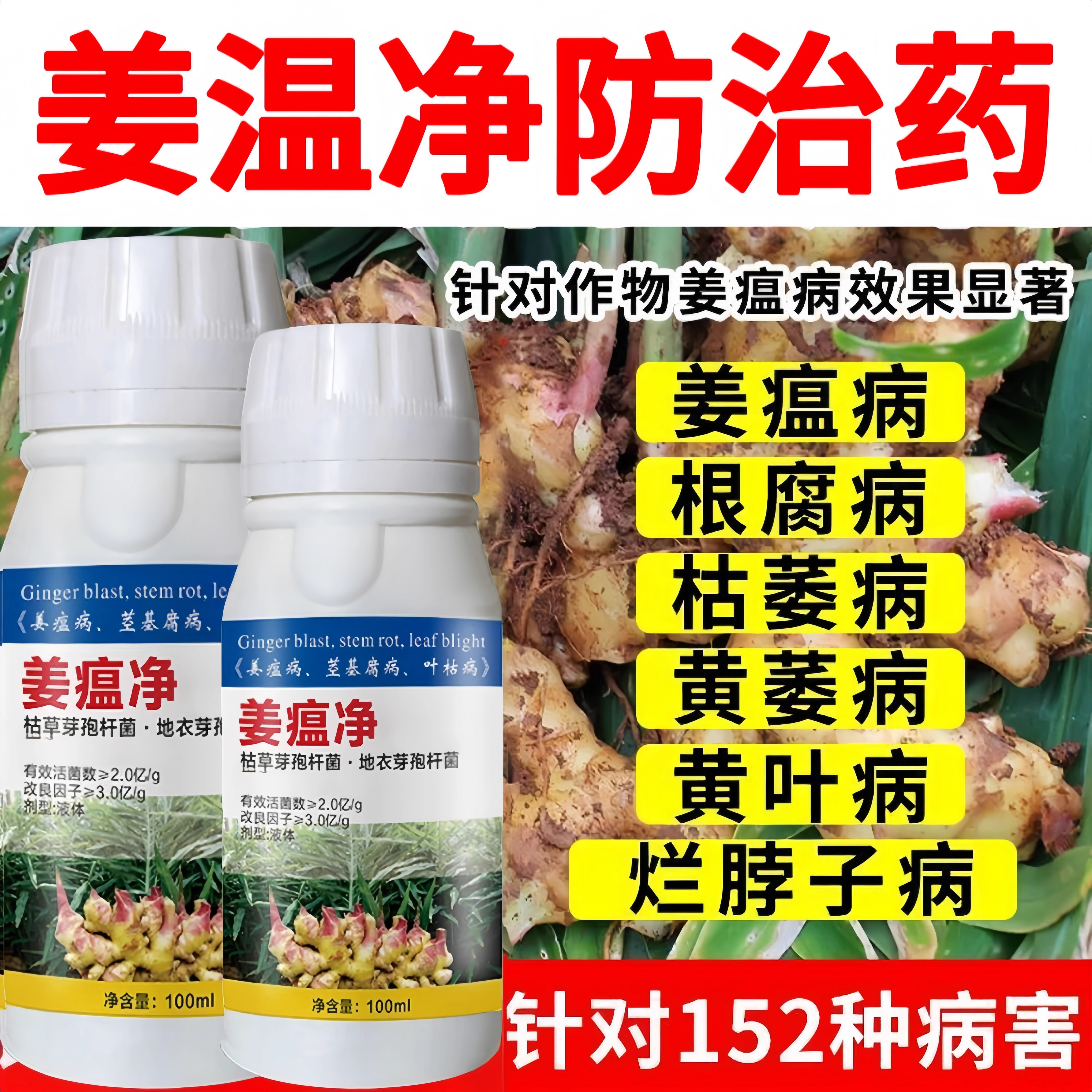 姜瘟净沙姜大姜药生姜杀菌剂大姜姜瘟病黄叶烂根根腐叶斑杀菌农药
