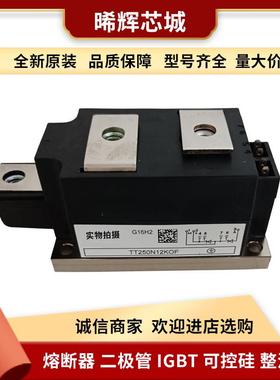 TT250N12KOF TT430N22KOF 型号齐全大功率可控硅双向 标准封装