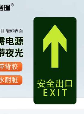 安赛瑞 经济型自发光地贴（出口 箭头向上）10片装夜光21610