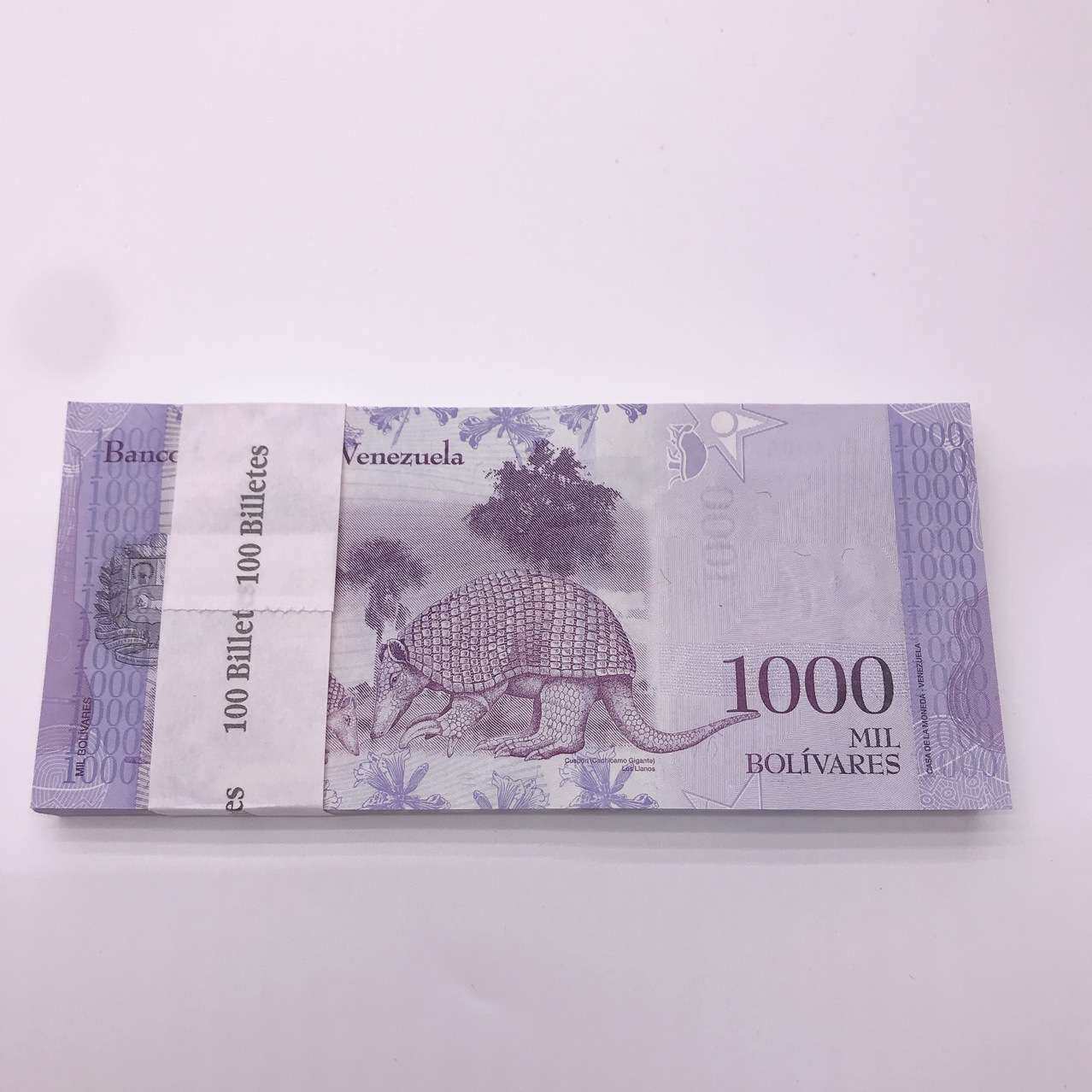 美洲纸钞1000波利维尔穿山