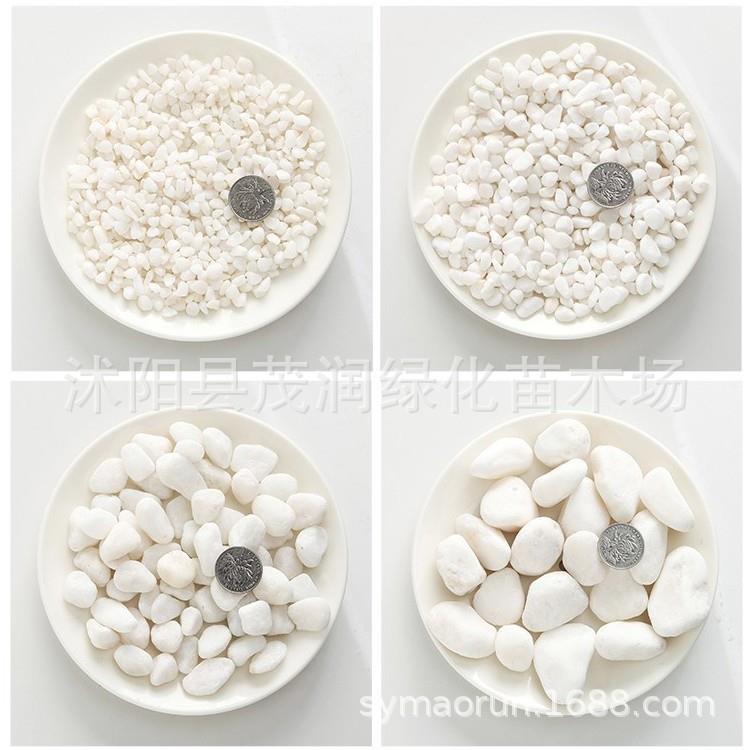 白石子鹅卵石白石头汉白玉彩石园艺盆栽石头多肉铺面庭院造景
