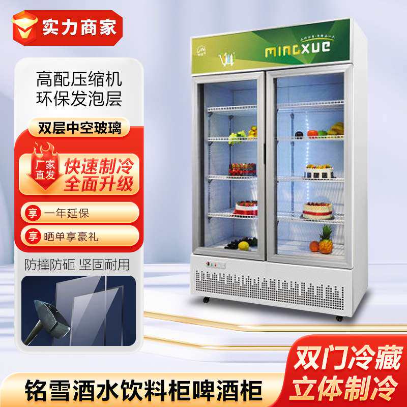 铭雪展示柜商用冷柜保鲜柜陈列柜双开门啤酒饮料柜鲜花柜酒水柜