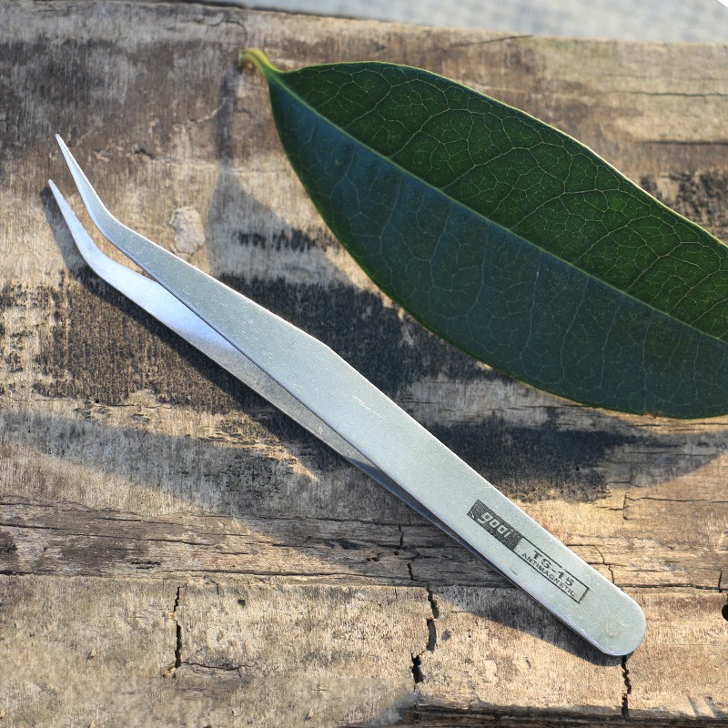 多肉工具夹子镊子微景观摆件专用直头镊子园艺工具尖头弯头镊子