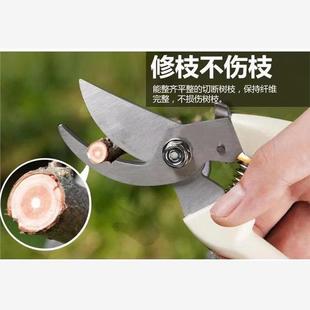 修剪树枝剪刀剪枝园林粗枝果树花剪盆景园艺花坚固花艺剪花枝剪子