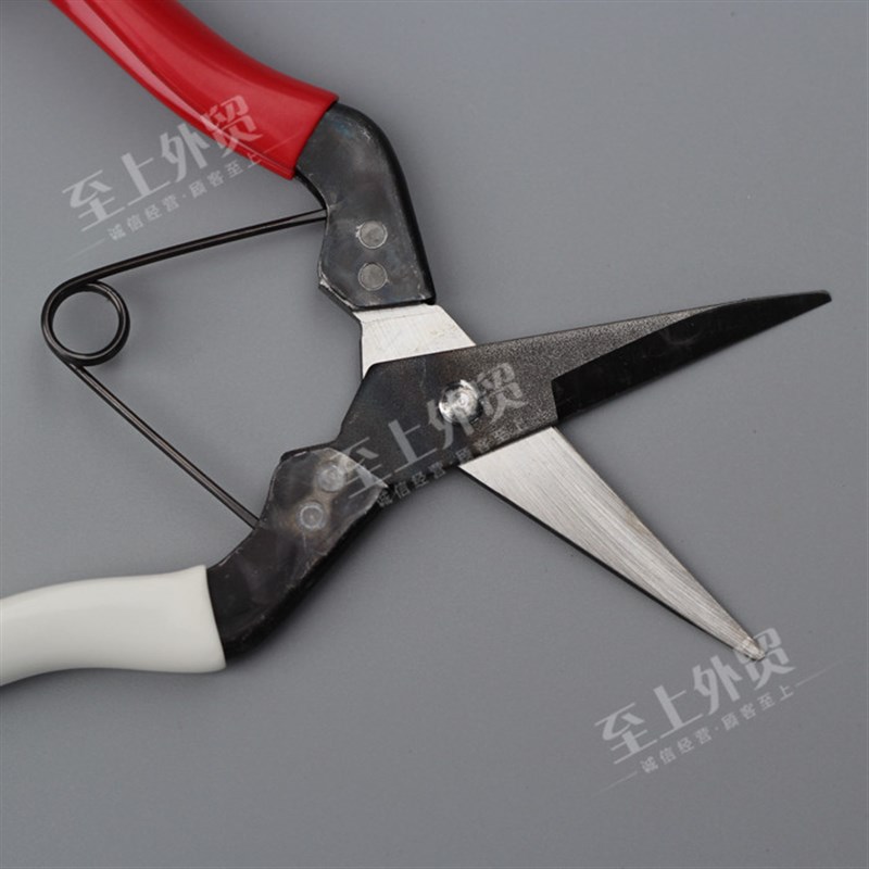 日本进口采摘果剪刀岡恒301/304葡萄剪 冈恒果树稀果剪 剪香菇腿