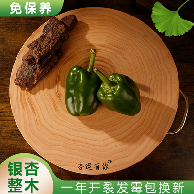 免保养银杏木整木砧板圆形菜墩