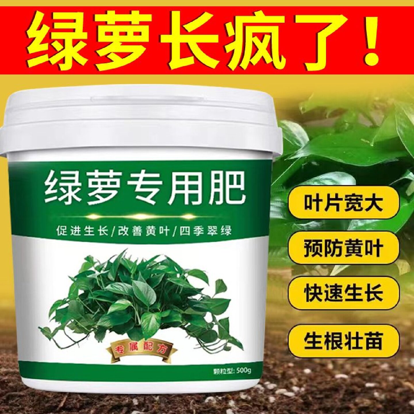 绿萝花卉专用肥颗粒肥