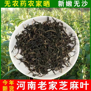 河南南阳正宗芝麻叶干货农家自晒头茬嫩叶糊涂面条灵魂配菜佳品