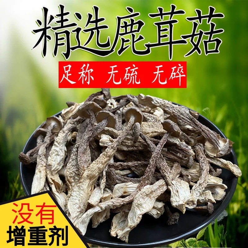 鹿茸菇干货500g包邮鹿茸菌非特级鹿茸菇煲汤云南脆姑菌菇类蘑香菇