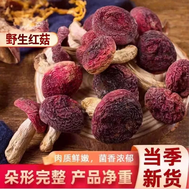云南纯野生红菇干货蘑菇开伞红菇月子菇煲汤新货特产500克包邮