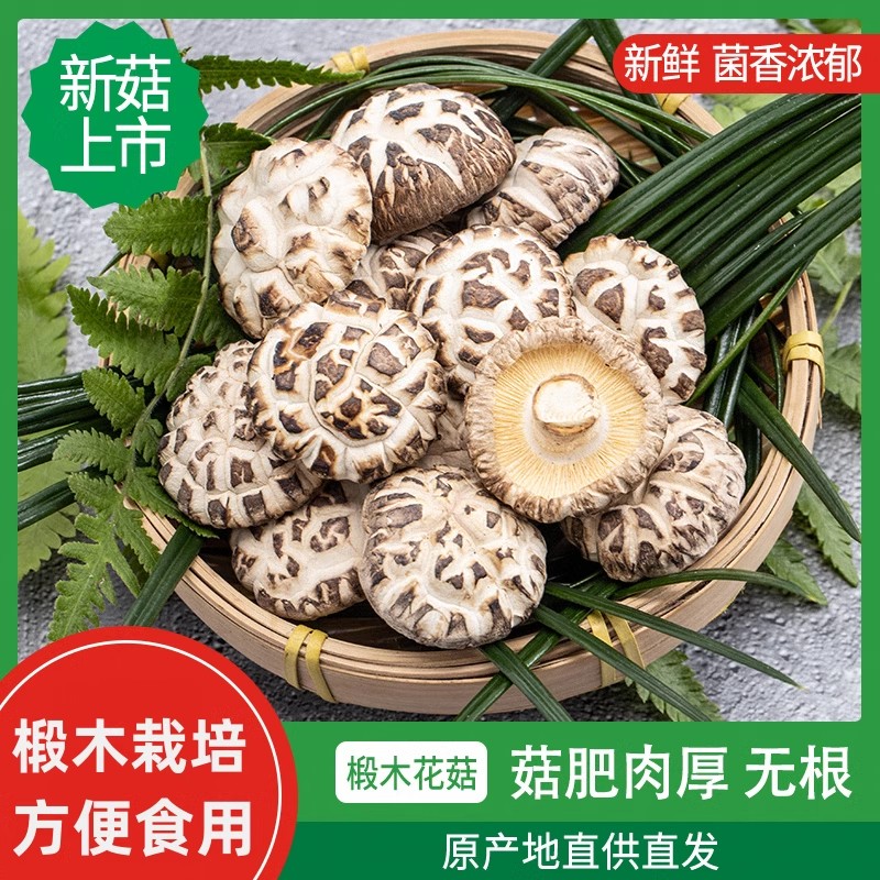 香菇干货特产级干香菇商用批发价袋装野生小蘑菇菌菇香茹冬菇花菇