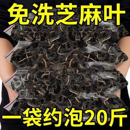 新货农家干芝麻叶 河南特产日晒脱水嫩菜叶 无沙干净煲汤拌面干货