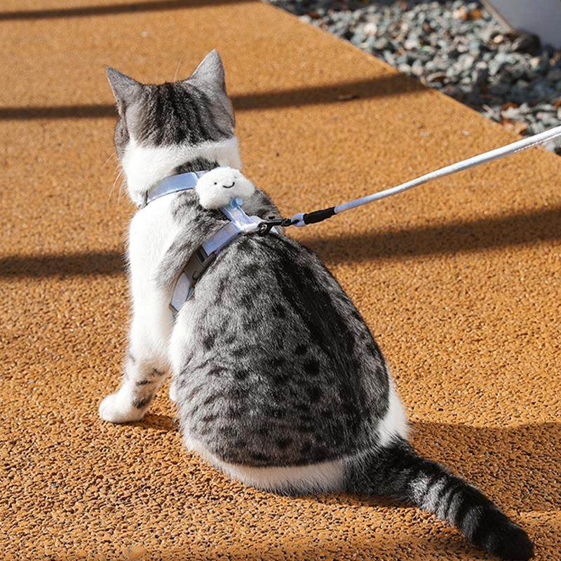 猫咪牵引绳防挣脱外出专用猫绳子宠物背带链子可调节网红遛猫绳子,宠物/宠物食品及用品,猫牵引绳,淘宝优惠券,粉丝福利购,淘宝优惠卷