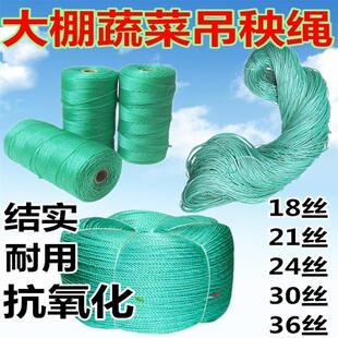 大棚吊秧绳蔬菜黄瓜吊蔓绳塑料绳子番茄西红柿吊蔓绳尼龙拉枝绳