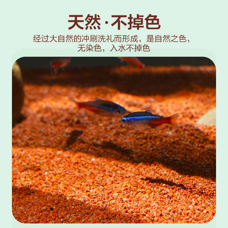 雨林沙鱼缸造景装饰底砂水草龟缸石英沙子溪流石头免洗专用小细沙
