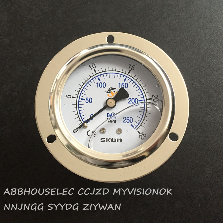 SKON不锈钢耐震压力表0-25MPa注塑机防震油压表250BAR轴向压力计