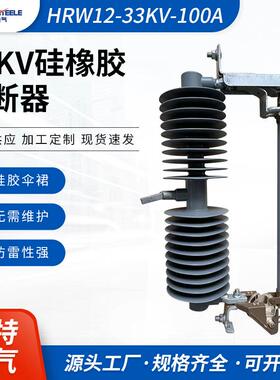 户外高压跌落式熔断器 令克保险开关HRW12-33KV-100A硅橡胶熔断器