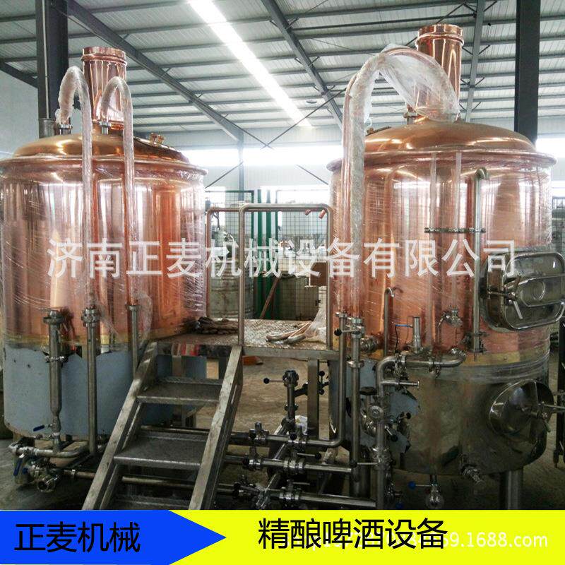 小型精酿啤酒设备 家用酿酒设备 发酵罐 一体机 米酒设备