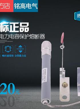 并联电容器单台保护专用高压熔断器BRW(BRN BR2)-7.2KV(10KV)/50P