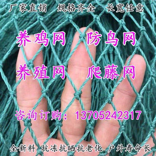 尼龙养殖网养鸡网山鸡网围栏网护栏网拦鸡网菜园网防.护网防鸟网