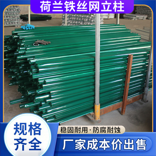 荷兰网立柱铁丝网k围栏立柱护栏防护网立柱养鸡养殖网刺绳燕尾柱