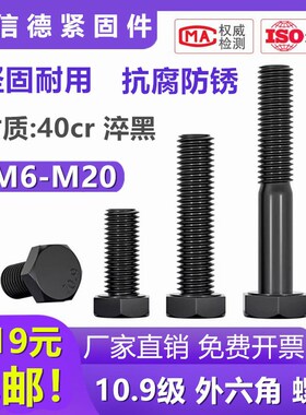 10.9级外六角螺丝钉高强度加长单头六z角螺栓螺杆m6m8m10m12m16m2