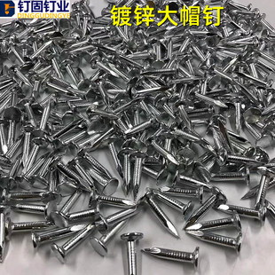 镀锌大帽钉白色沥青瓦钉防锈大冒钉大头钉子F20 25 30mm瓦片油毡
