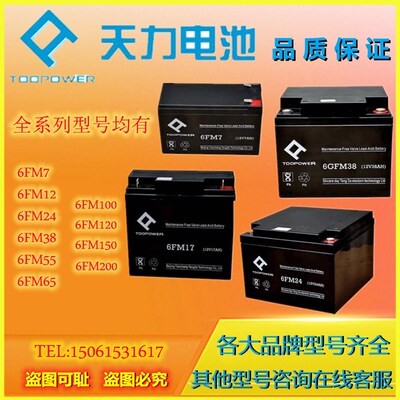 TOOPOcWER天力蓄电池6GFM100 6FM7 6FM12 6FM17 6FM24 6GFM65 12V