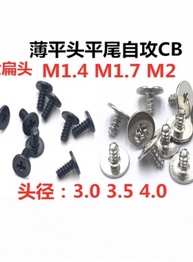 M1.4M1.f7M2大平头薄头扁头十字平尾自攻螺钉CB2*3/4/5/6CB1.7*3/