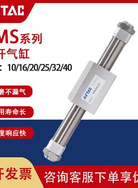 亚德客无杆气缸RMS10/16/20/25/32/40X100X200X300X400X5Z00X600