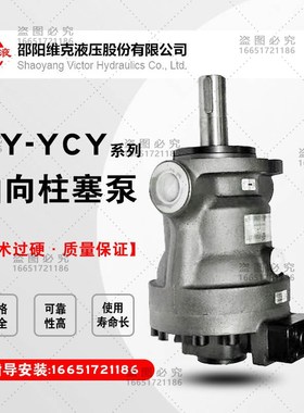 SY-25邵阳维克电动系列SHzAO YANG恒压变量邵液高压油泵
