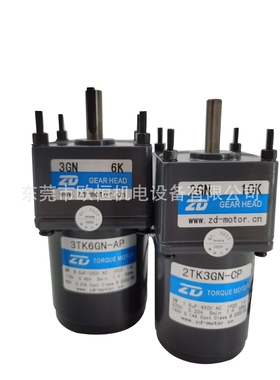 3W 220V堵转马达2TK3GN-CP-2GN15K光电设备用ZD中大力矩电机