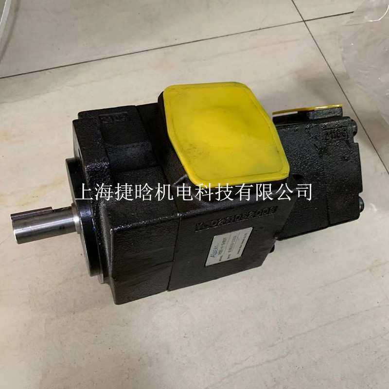 ALBERT叶片泵 T6C-014-1R00-B1 艾伯特油泵 ABT2-125-2L02-B50Z